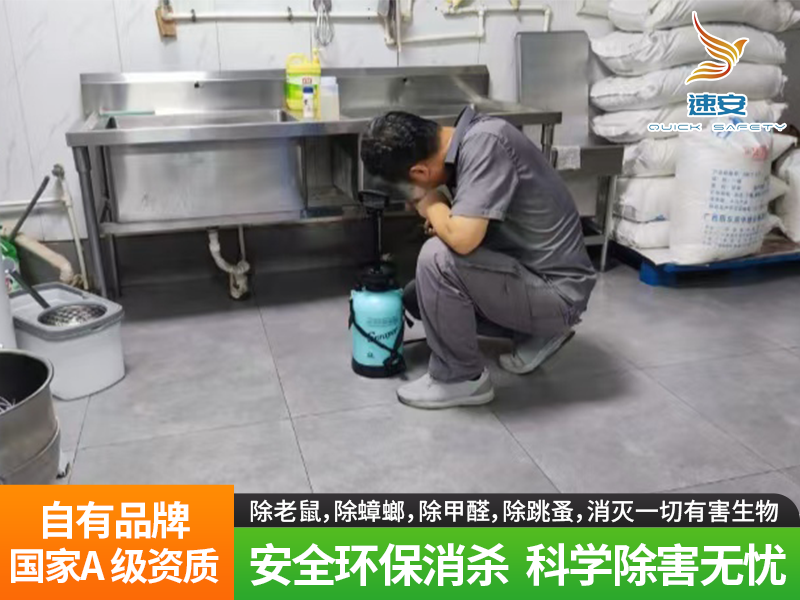 画板 9.png