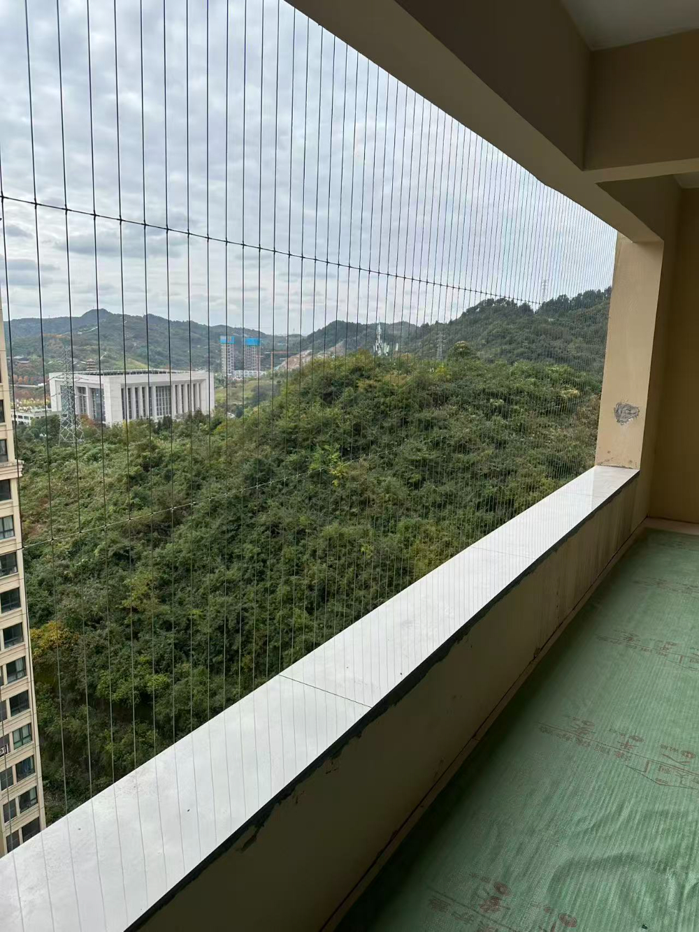 防护网