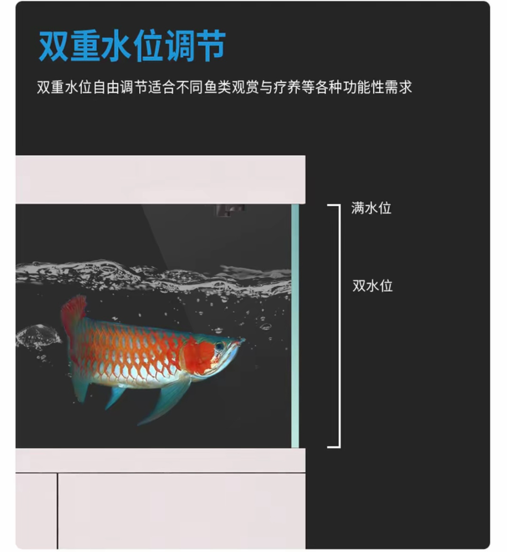 深圳溪流缸源头工厂怎么选？从水质稳定到落地安装一次讲透