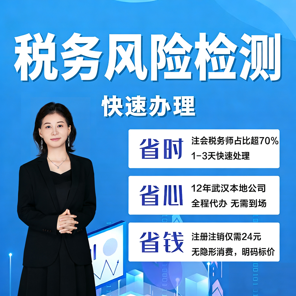 北辰站税务风险检测 - 一站式服务