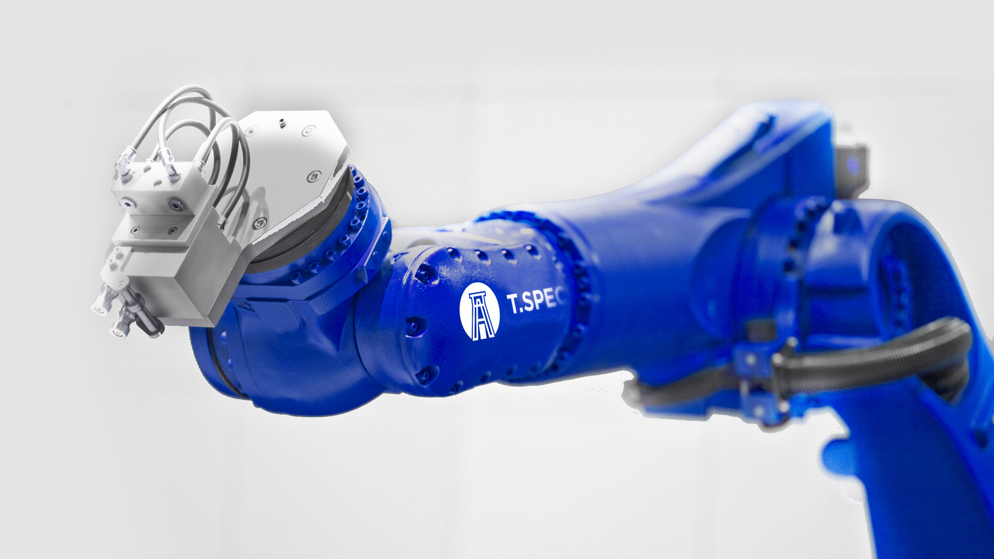 品牌设计未来展望