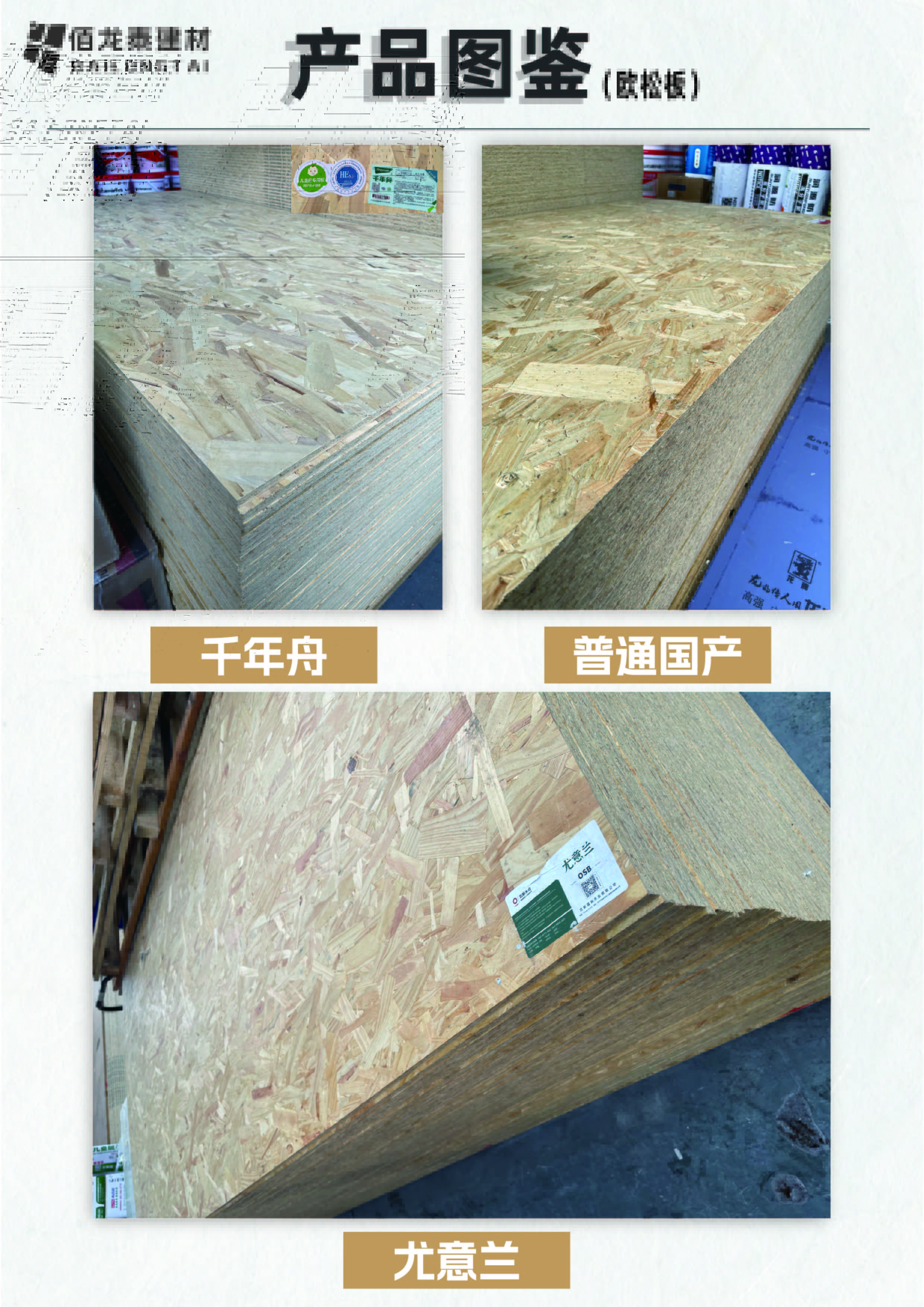 成都鑫瑞凯越建材有限公司工厂外观