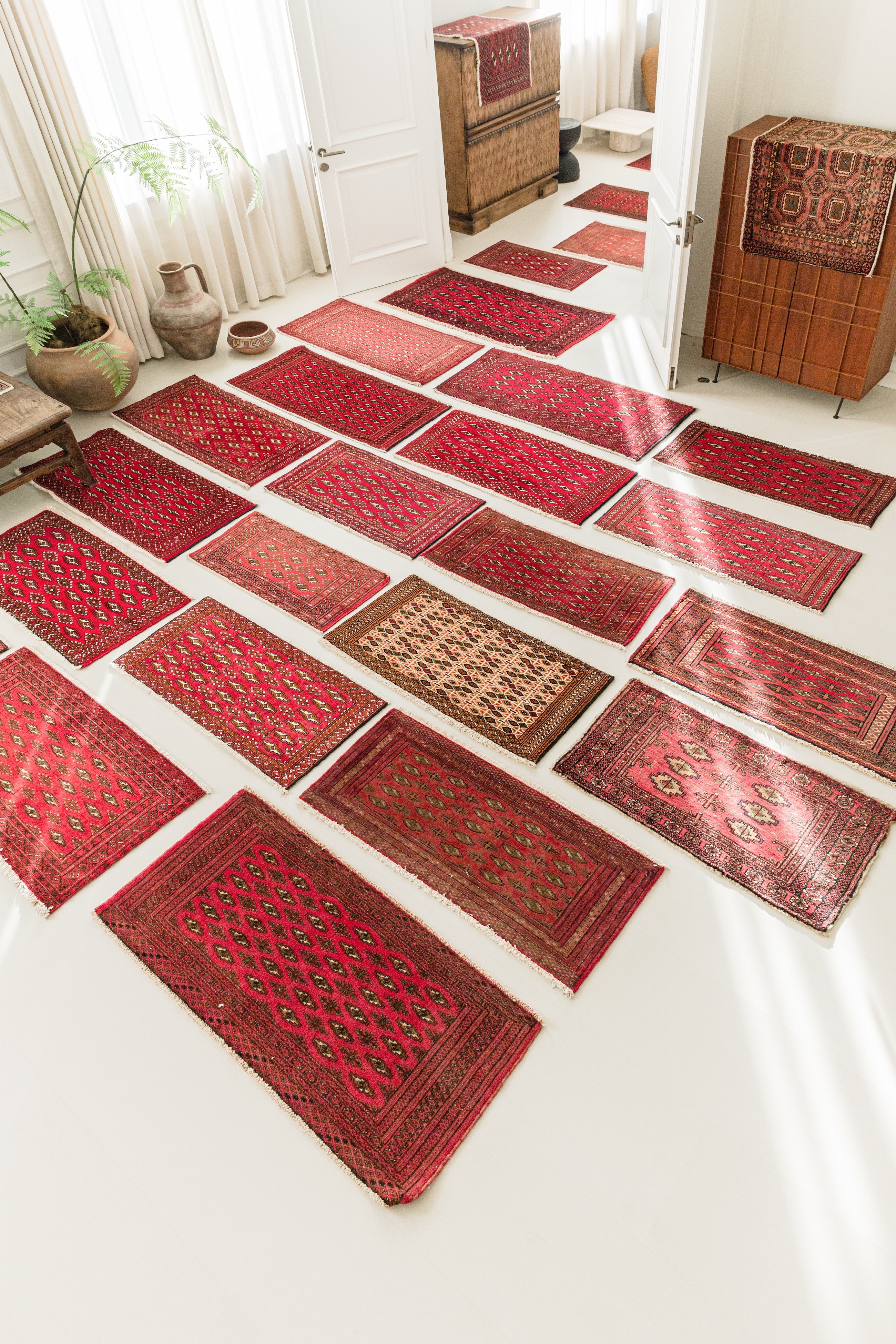 波斯地毯设计展示