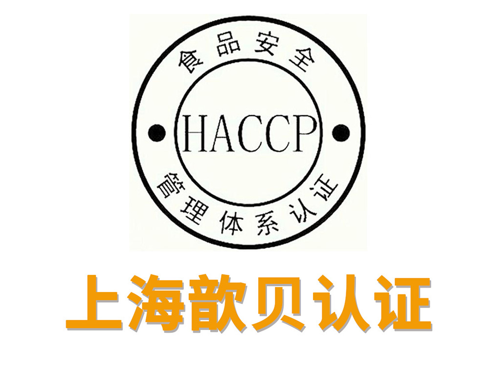 上海歆贝团队办公场景