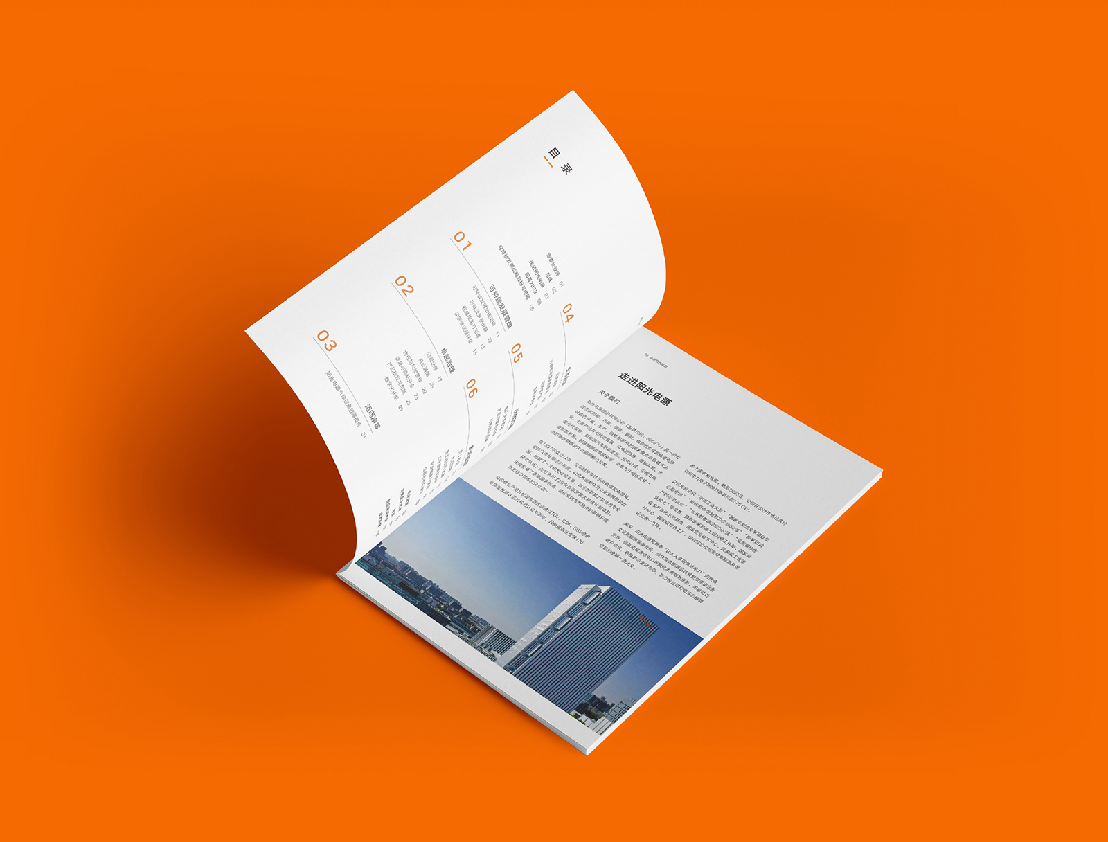 宣传册设计作品展示