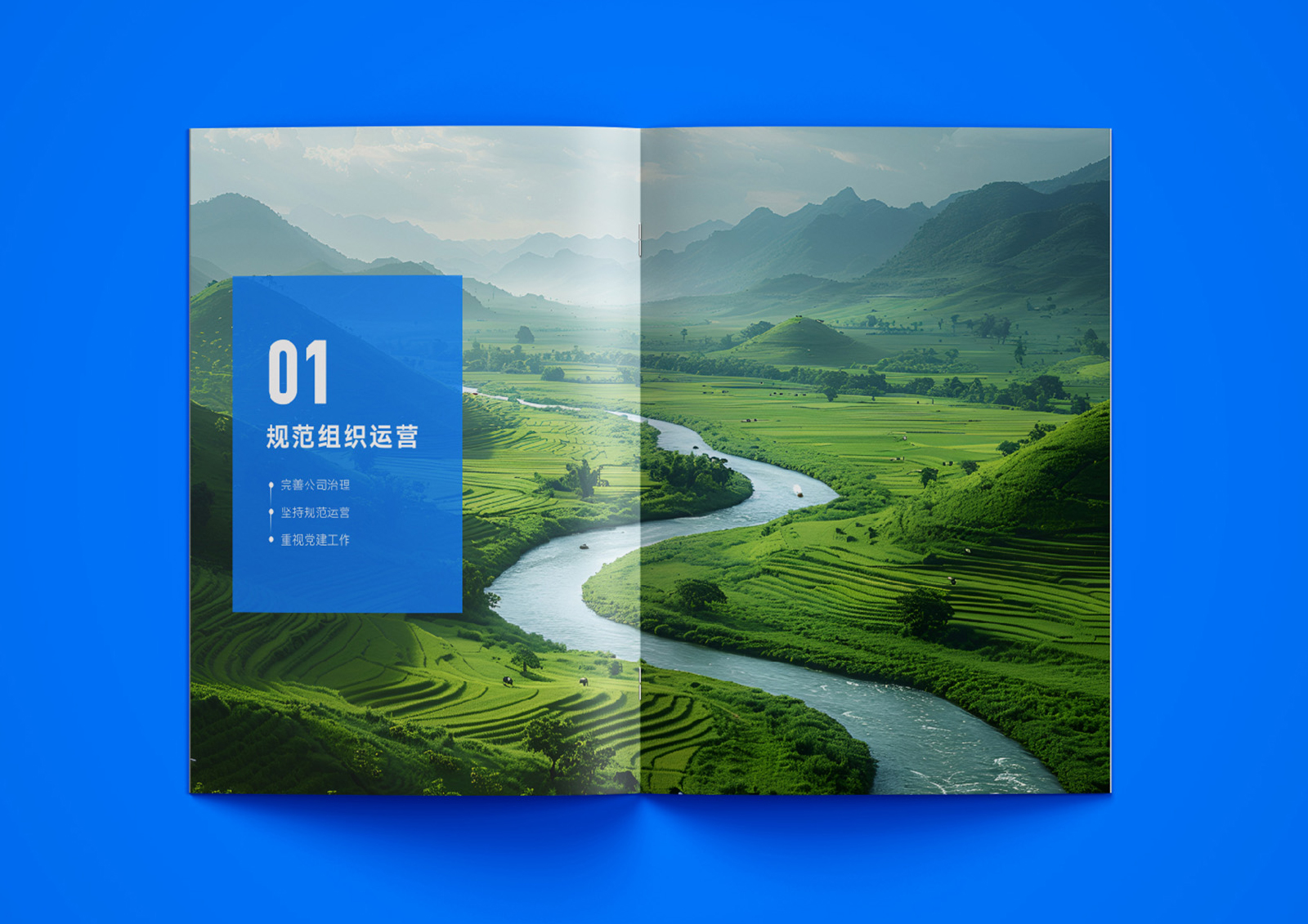 VI设计案例展示