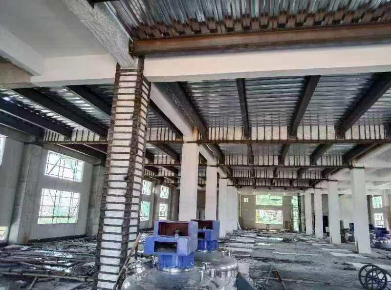 案例展示：合肥园博园项目