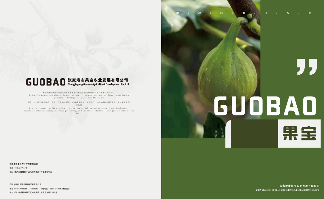 张家港市果宝农业发展有限公司无花果干产品
