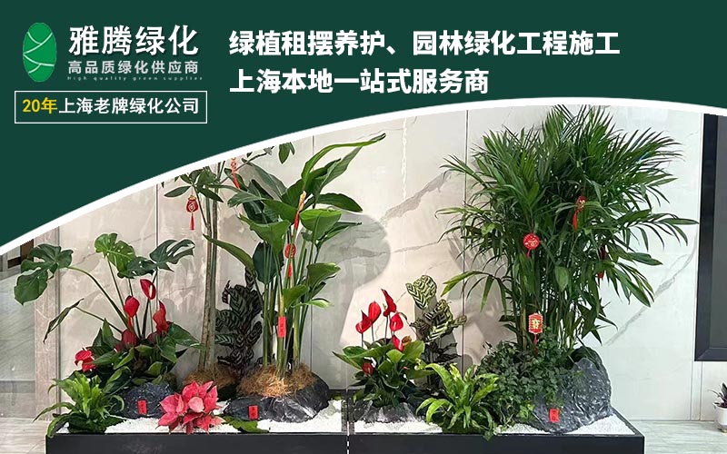 上海雅腾绿化服务场景