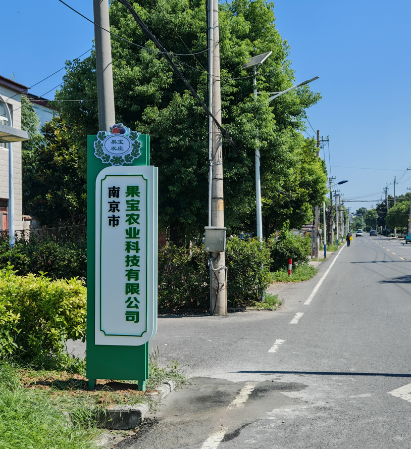 无花果酒产品展示