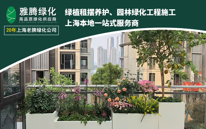 室外绿化施工