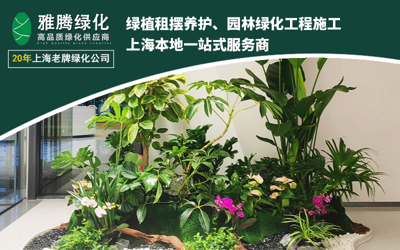 上海雅腾技术展示