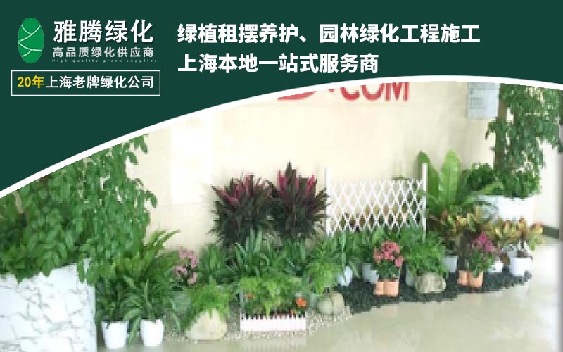 上海雅腾绿化案例