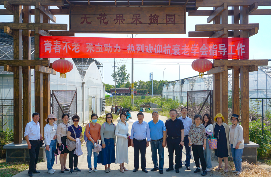 果宝农业种植基地实景