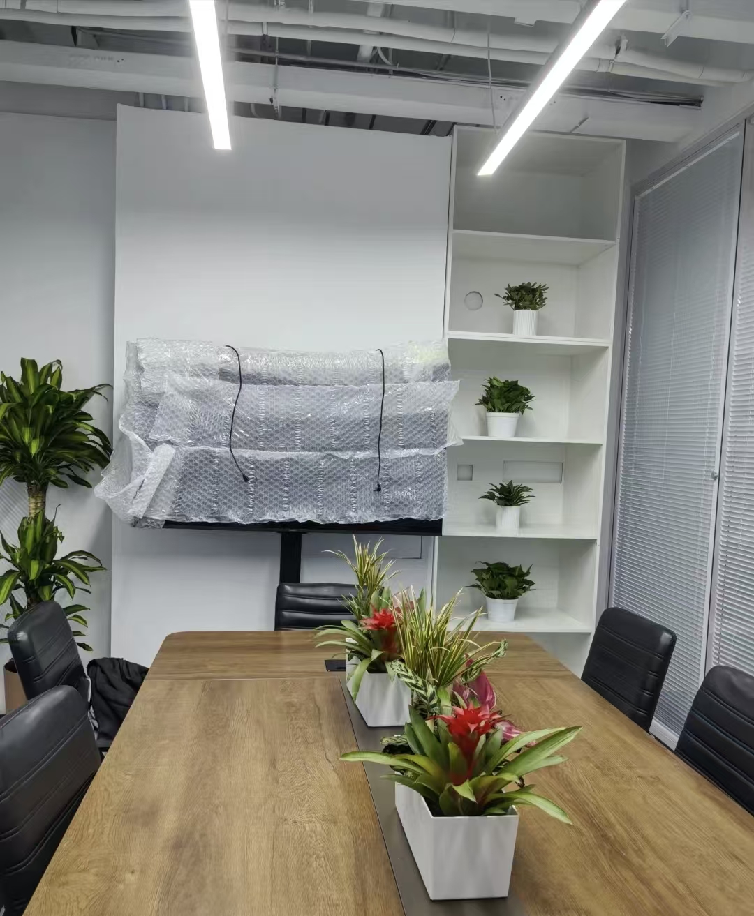 办公绿植美化效果