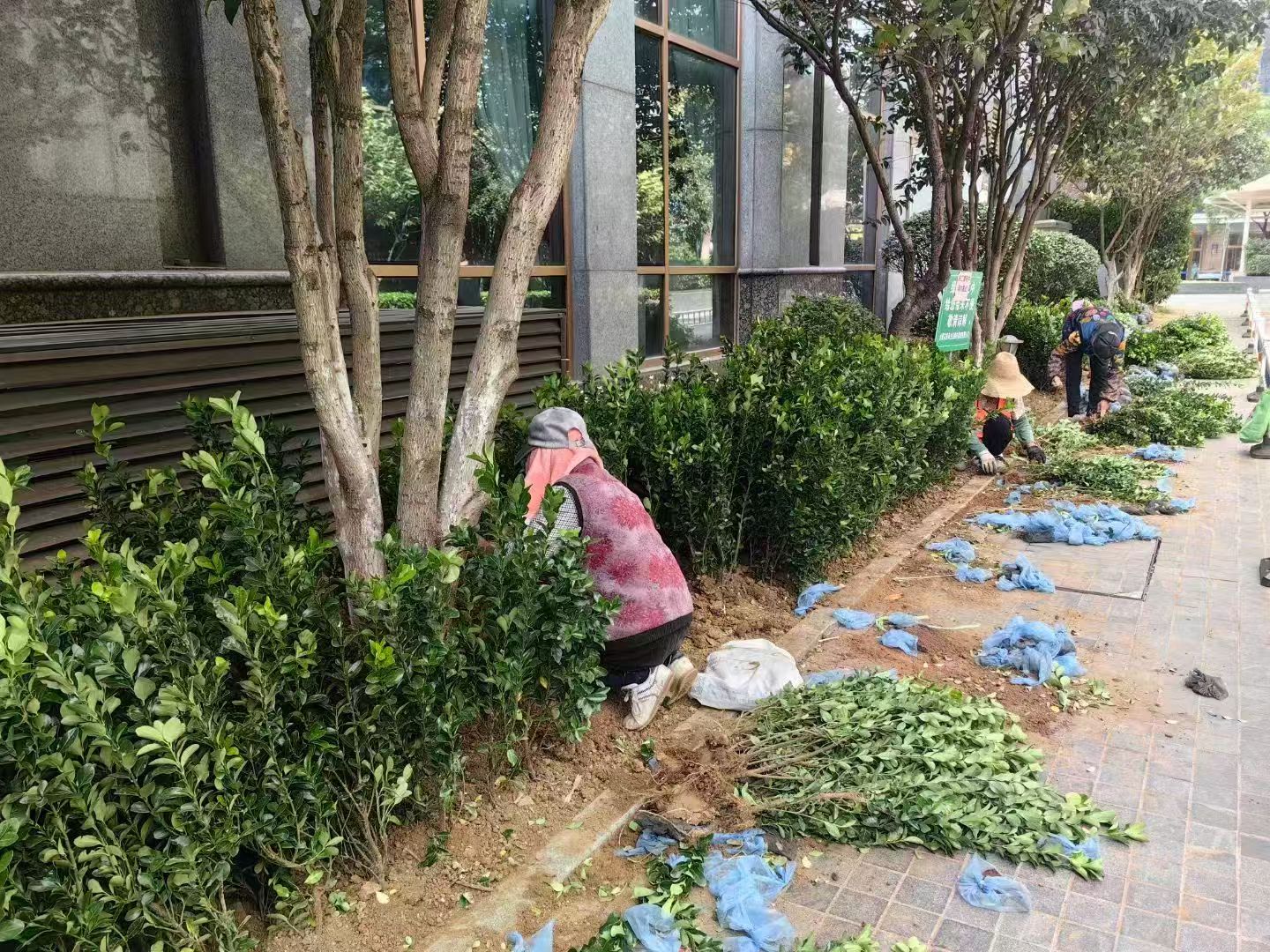 智能化草坪修剪设备展示