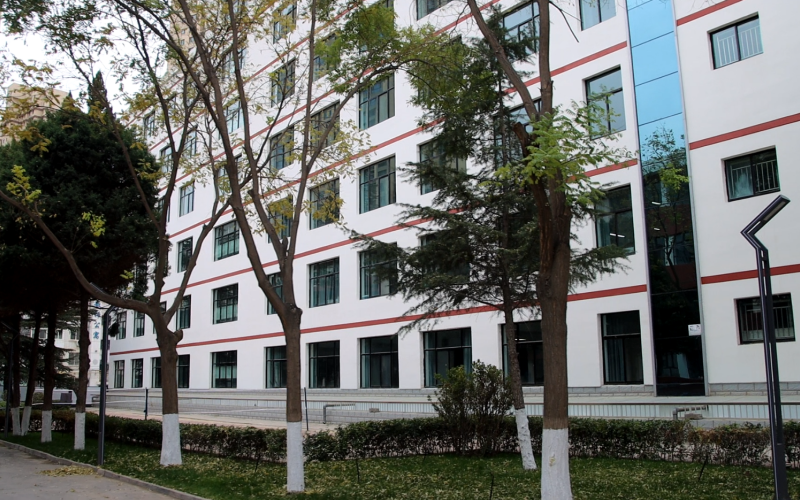 寒假伴学活动场景