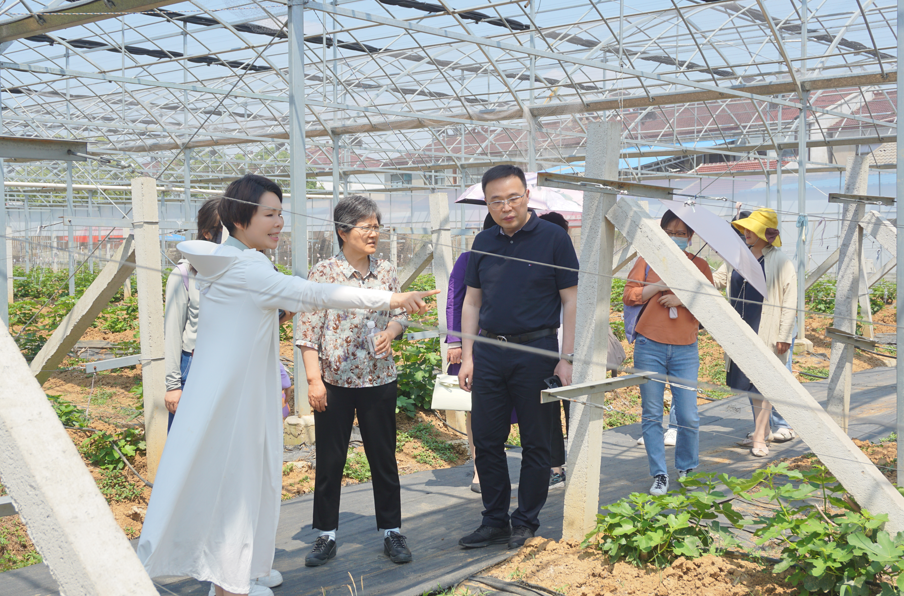 果酒生产基地环境