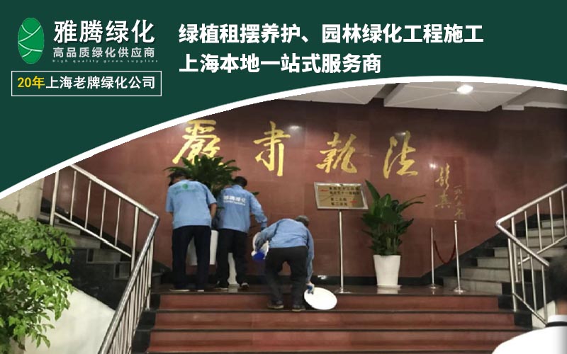 行业趋势可视化