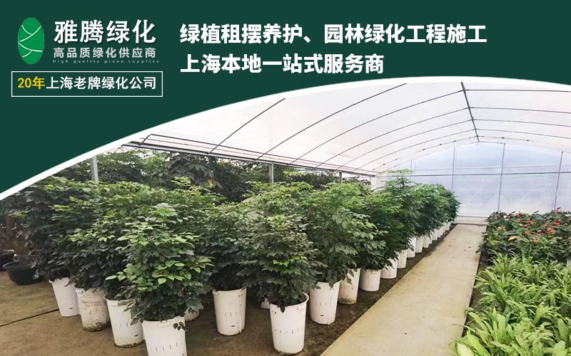 绿化工程案例展示