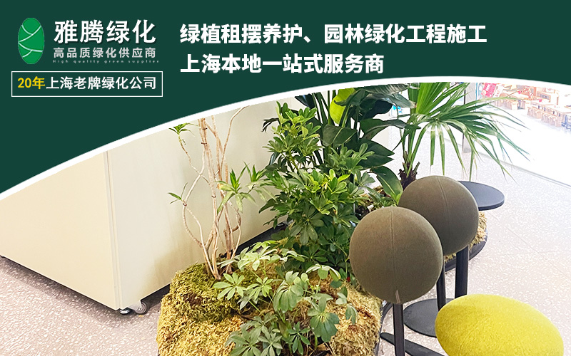 客户案例效果展示