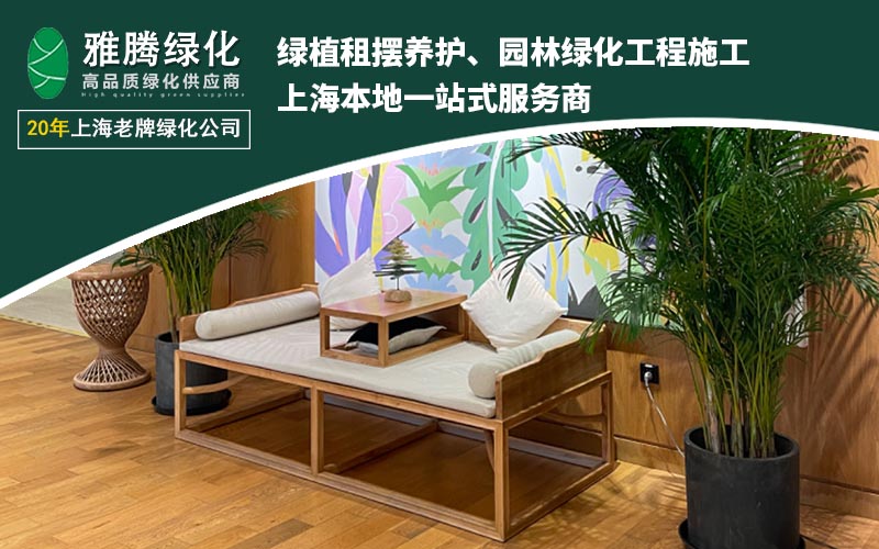 绿植租摆服务场景