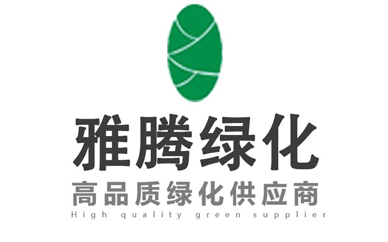 酒店绿植装饰示例