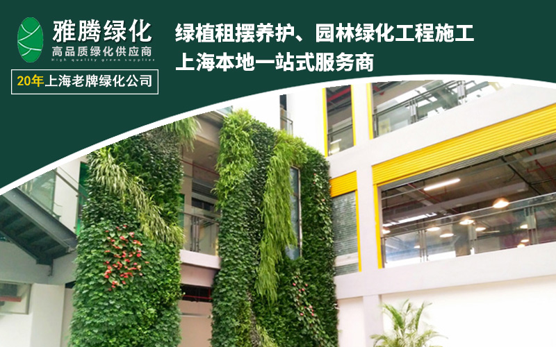 室内绿植租赁效果