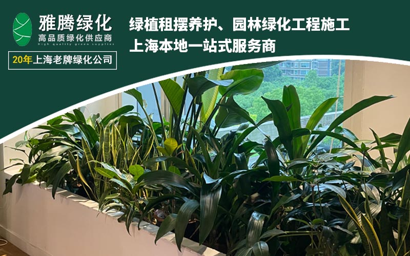 绿植租赁行业趋势