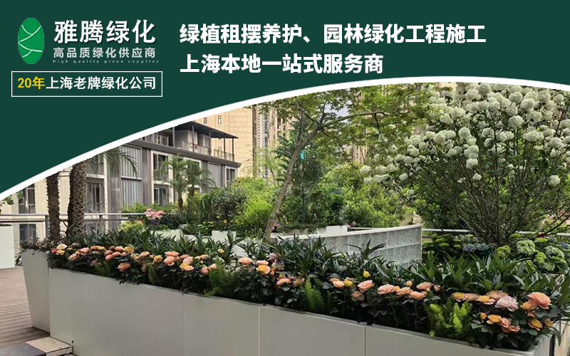 绿化服务效果展示