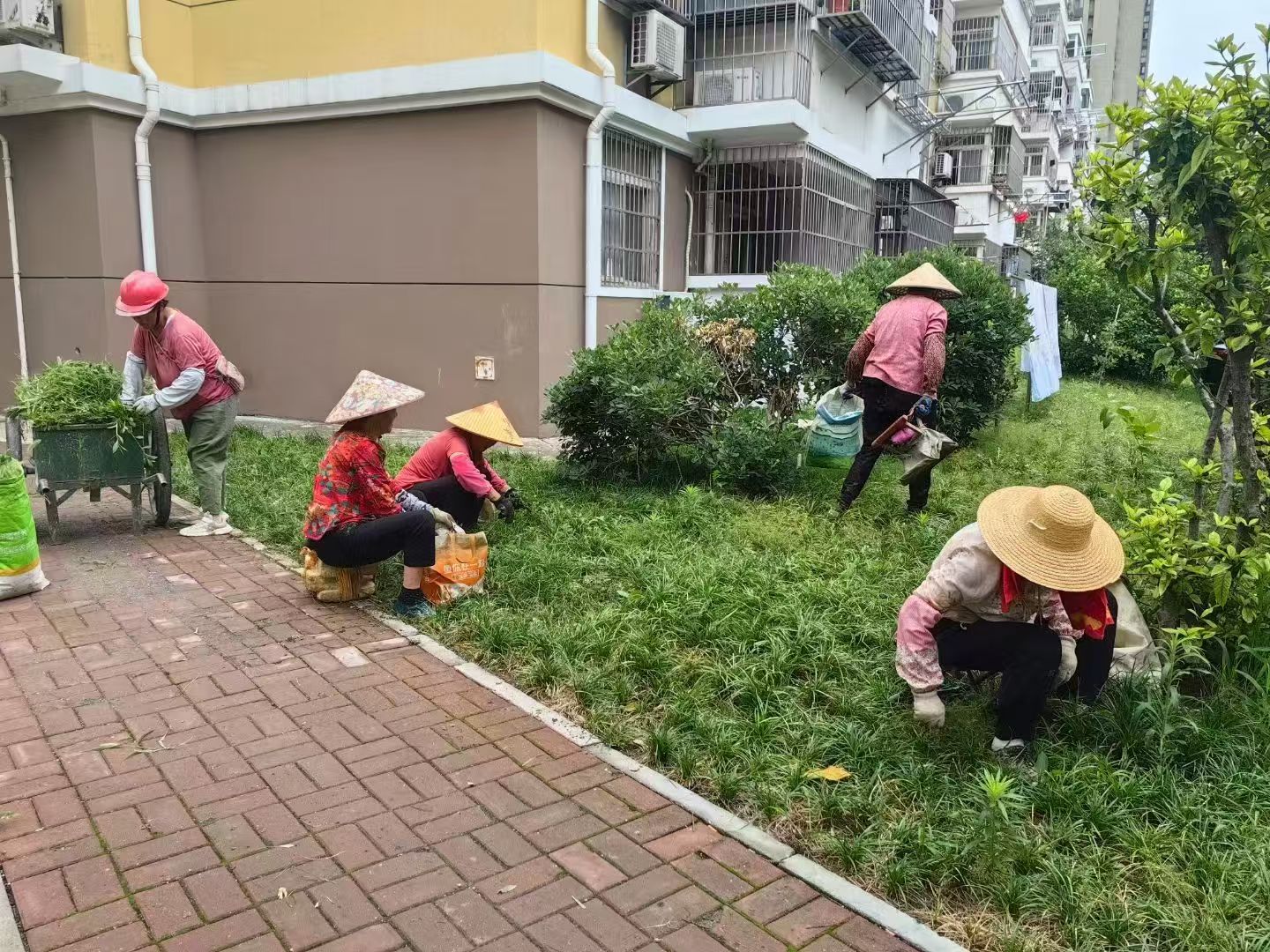 环保园林绿化实践案例