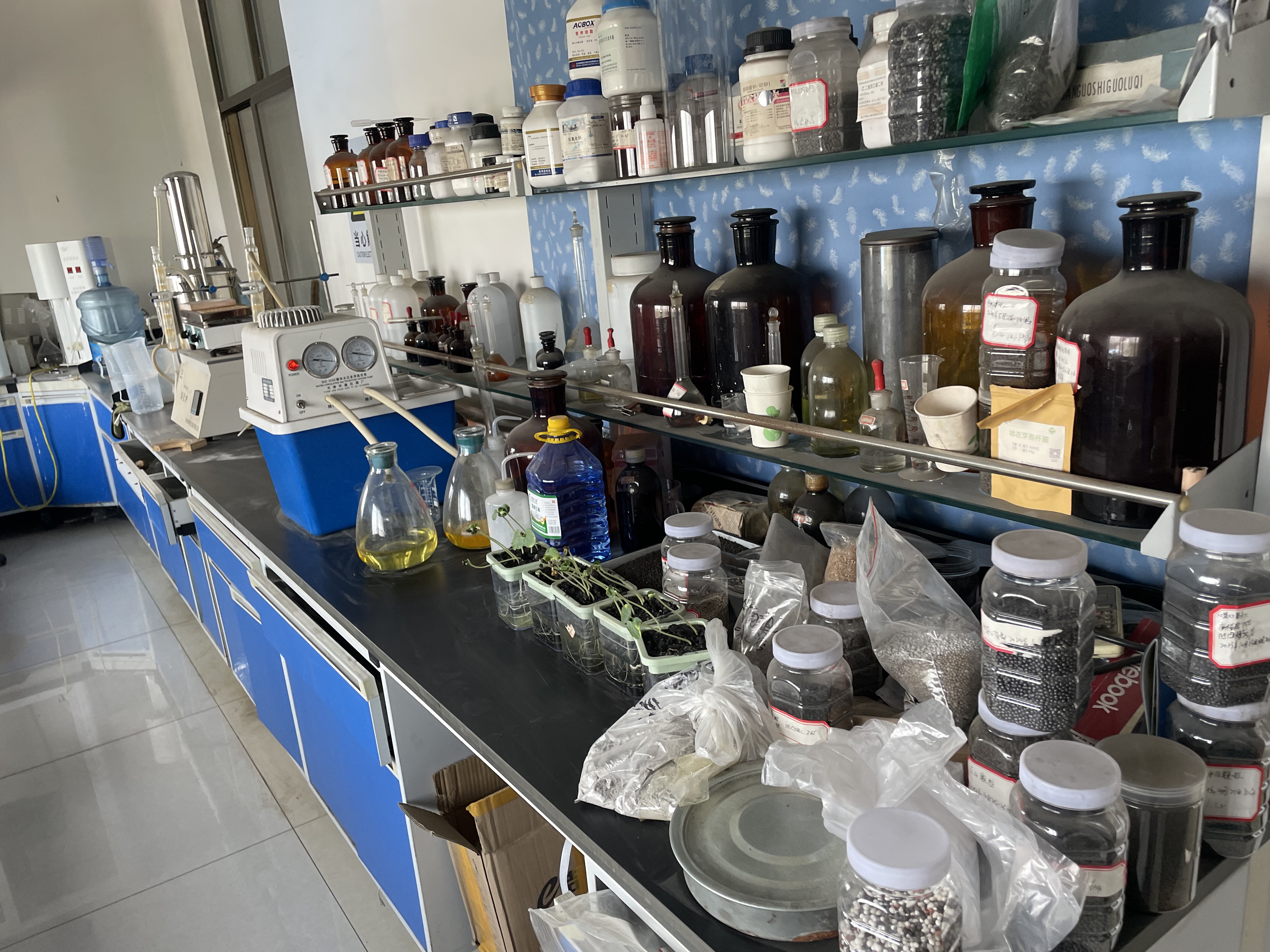 土壤改良效果展示