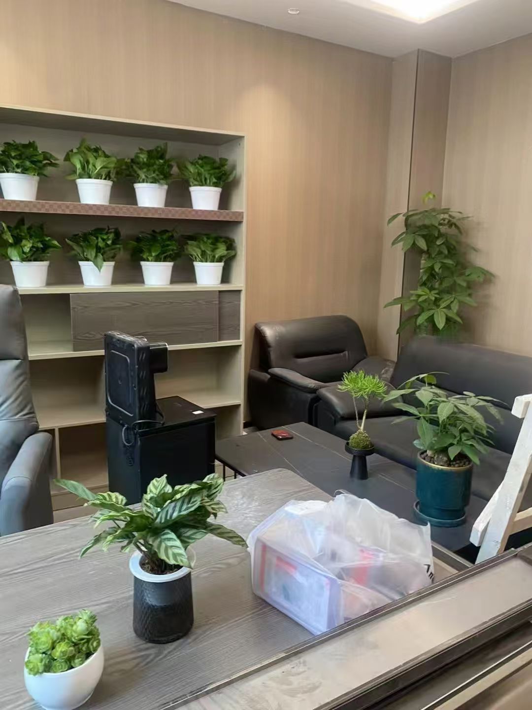 绿植租赁全国服务场景