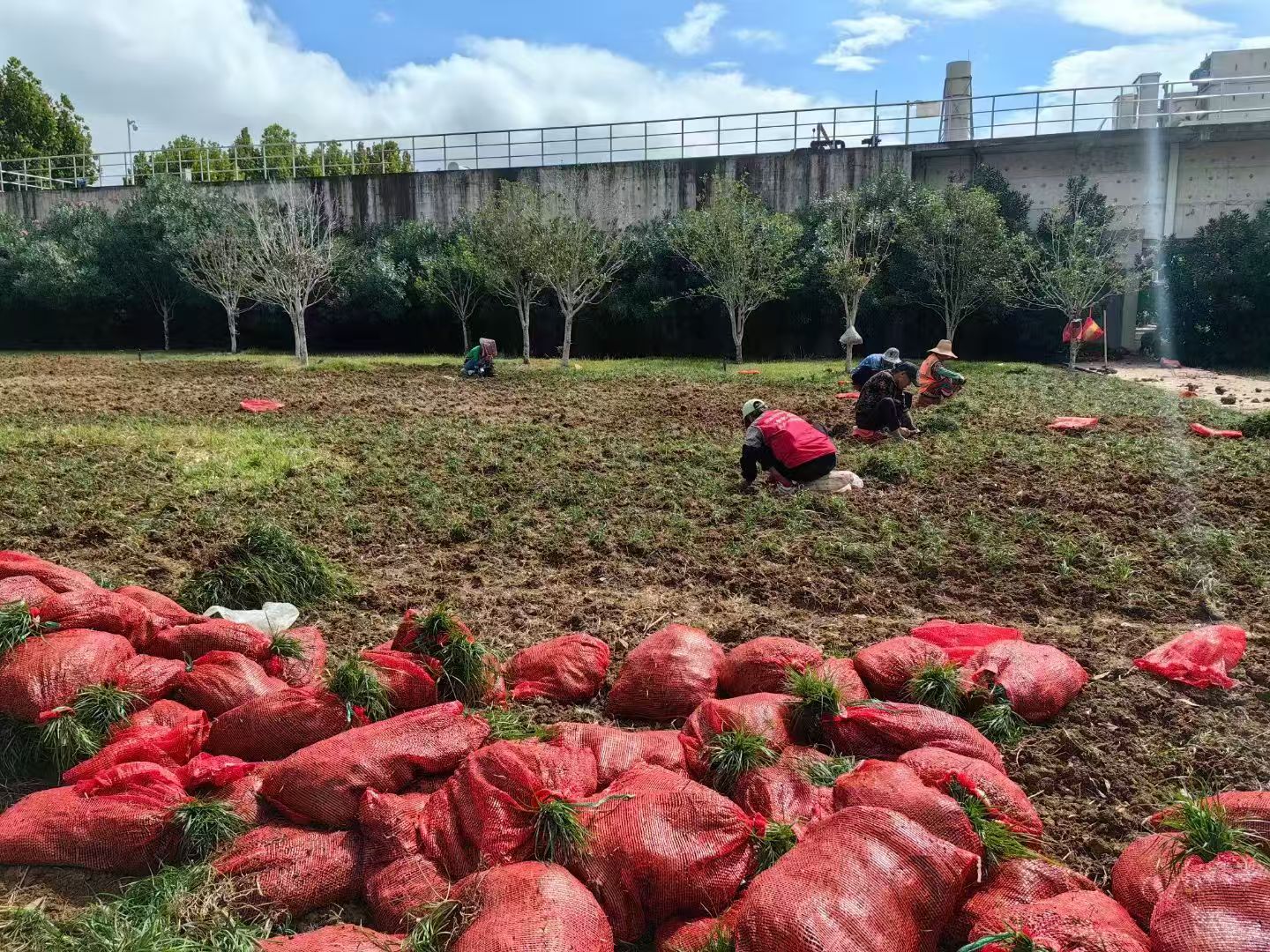 选择指南示意图