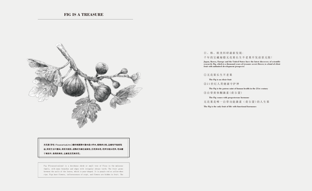 张家港果宝农业无花果种植基地