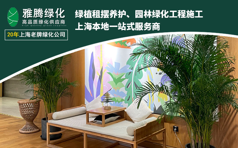 绿植养护技术示例