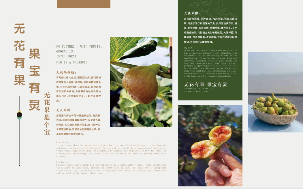 果香酱酒生产工艺