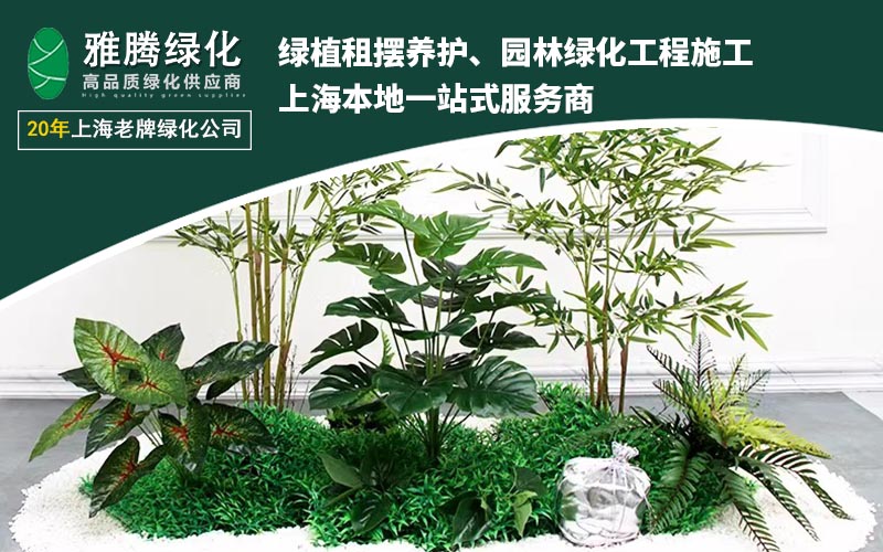 绿植养护场景