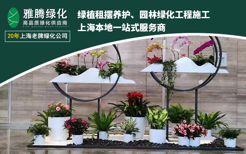 绿植租赁服务展示