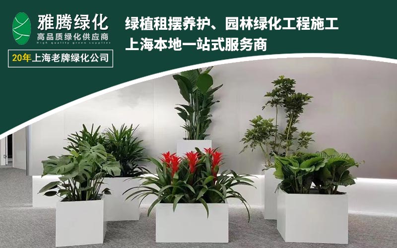 绿植租摆行业场景