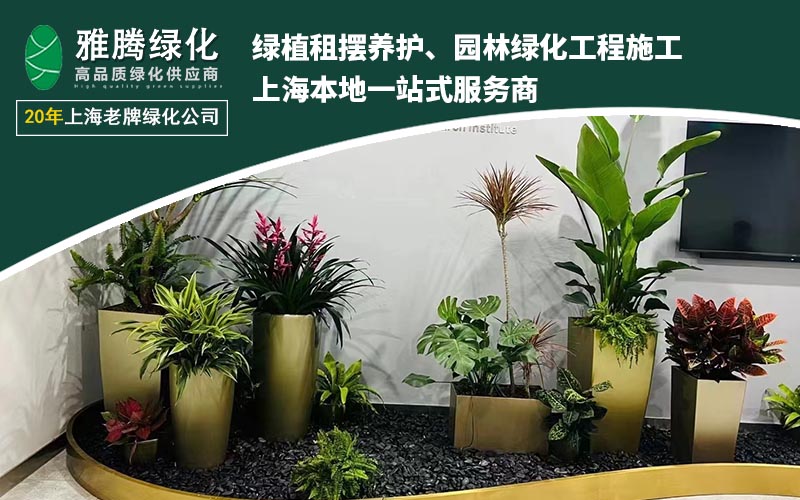 上海雅腾绿化公司外观
