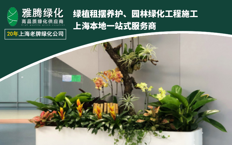 专业养护团队工作照