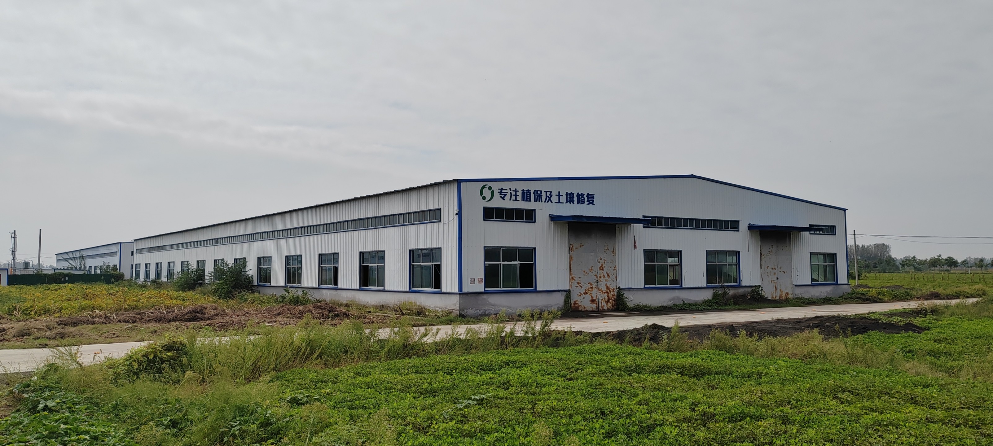 土壤改良效果图