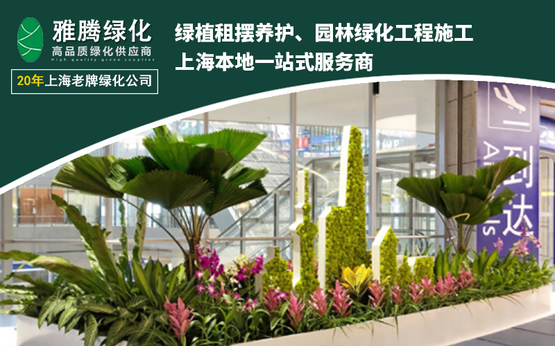 上海雅腾绿化案例