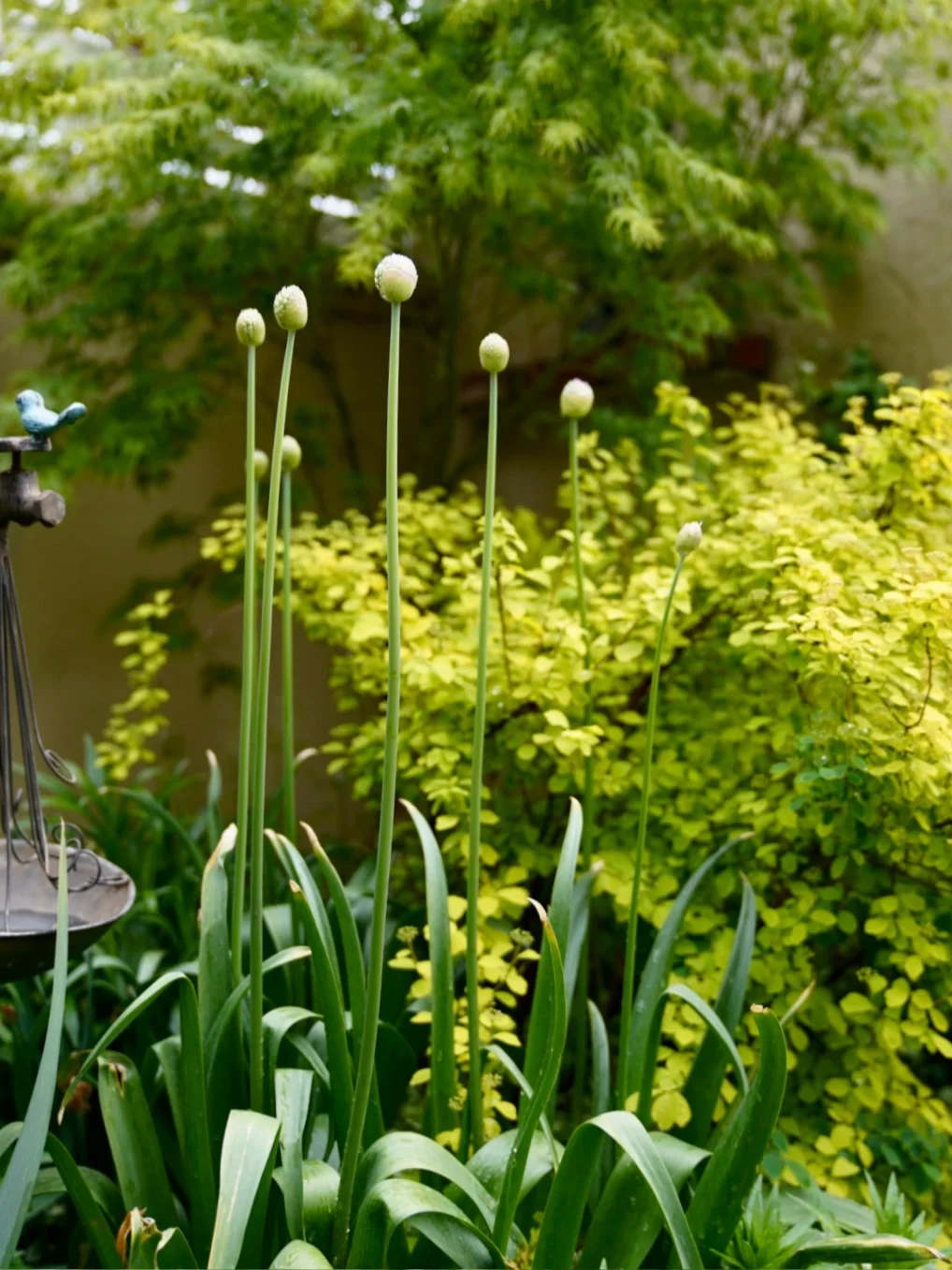 徐州明和设计案例