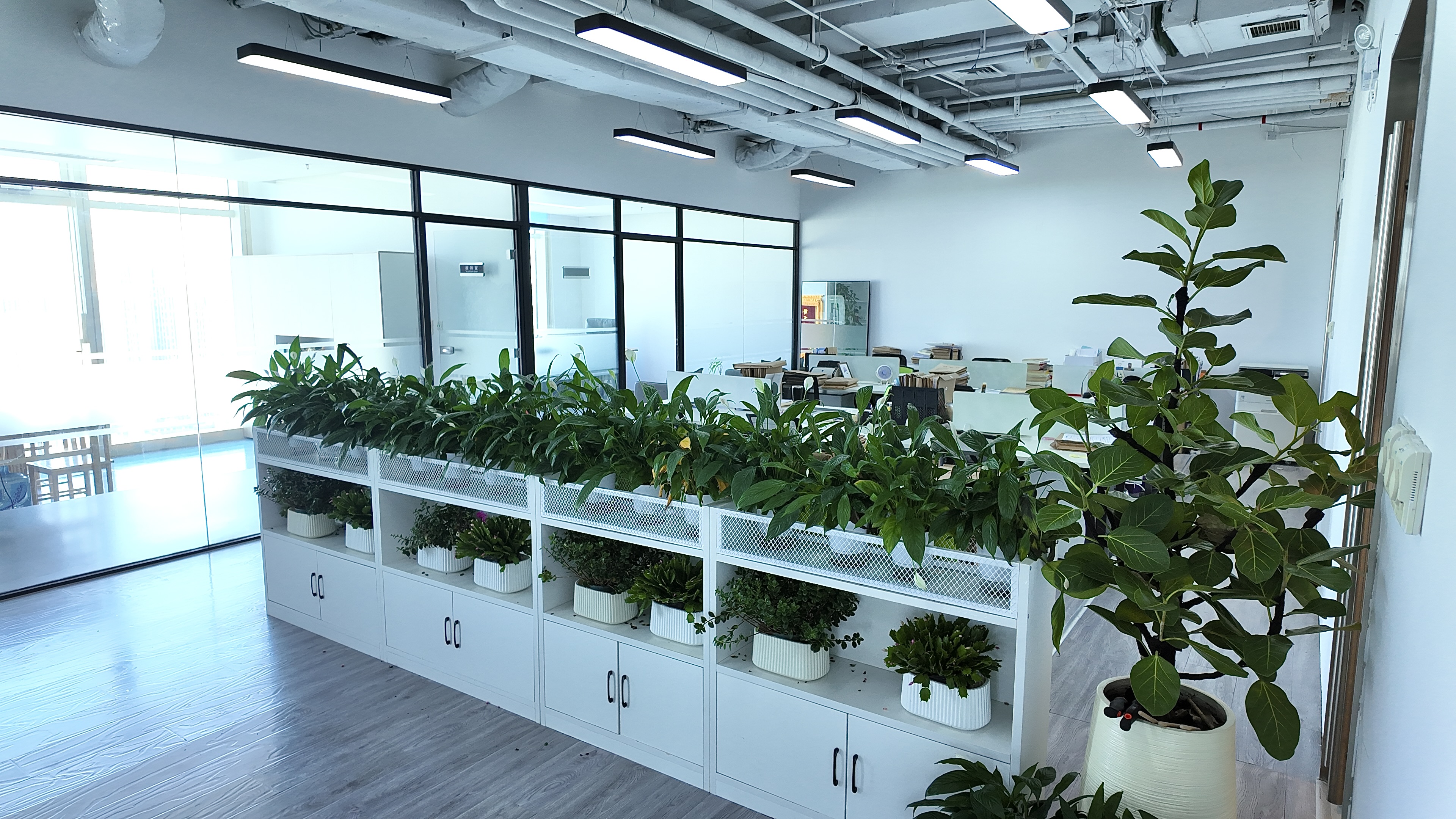 洪强律师案例展示