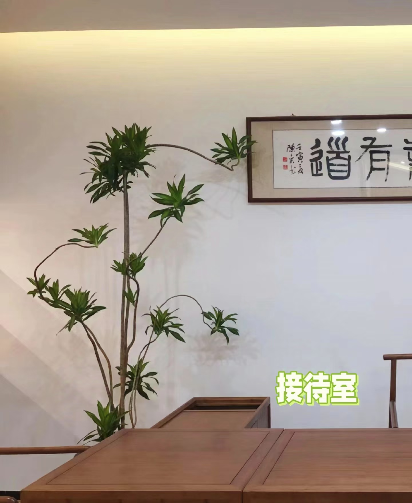 绿植租赁养护场景