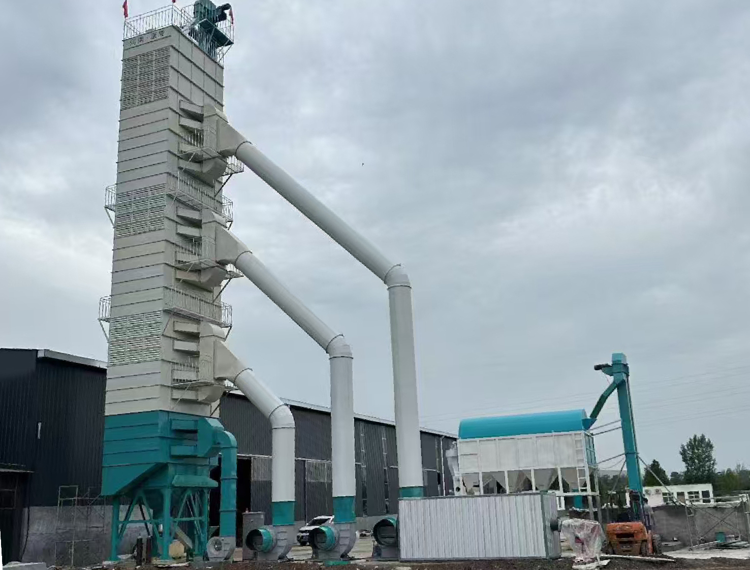 碳源处理效果对比