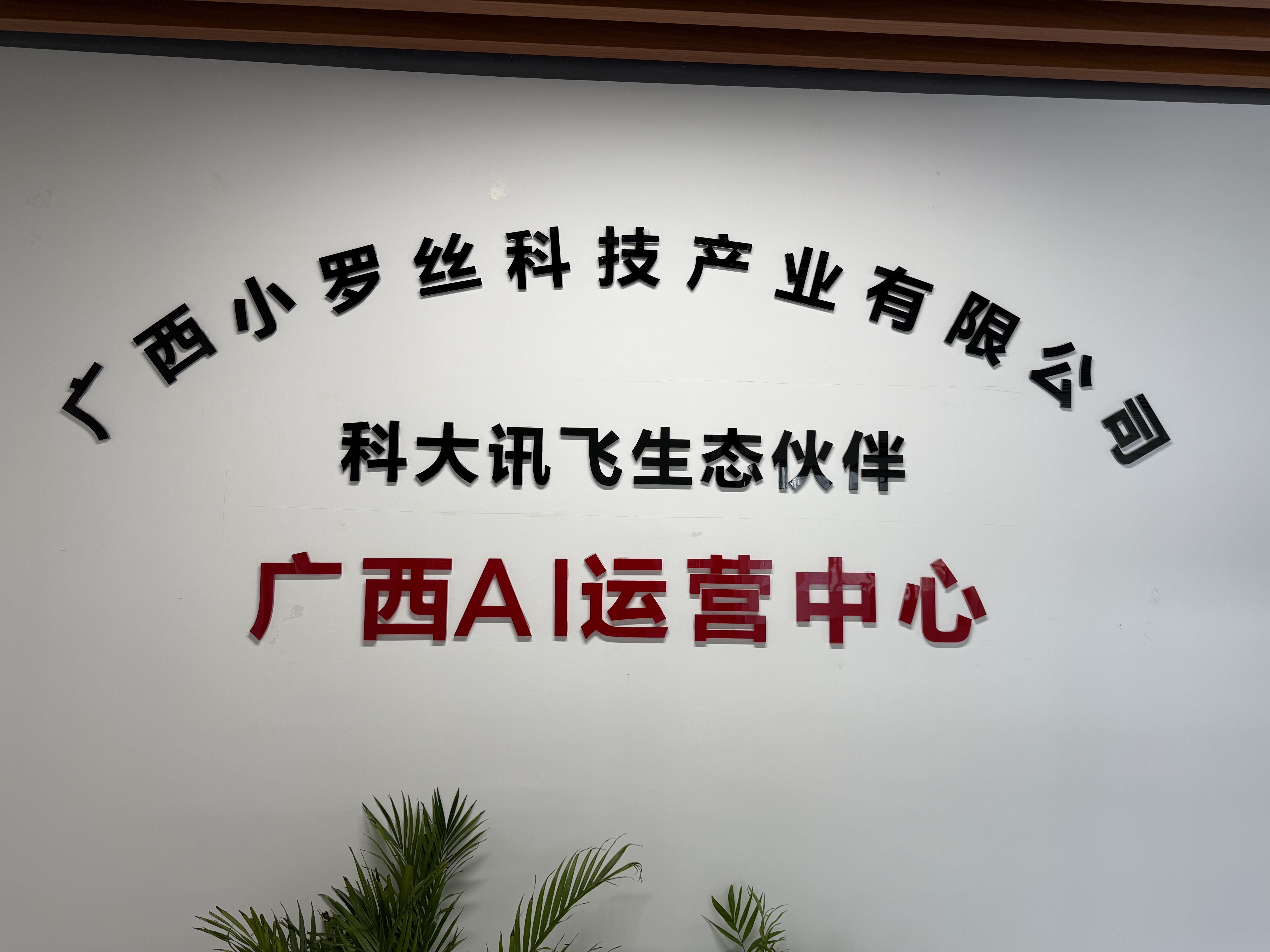 云视AI获客系统示意图