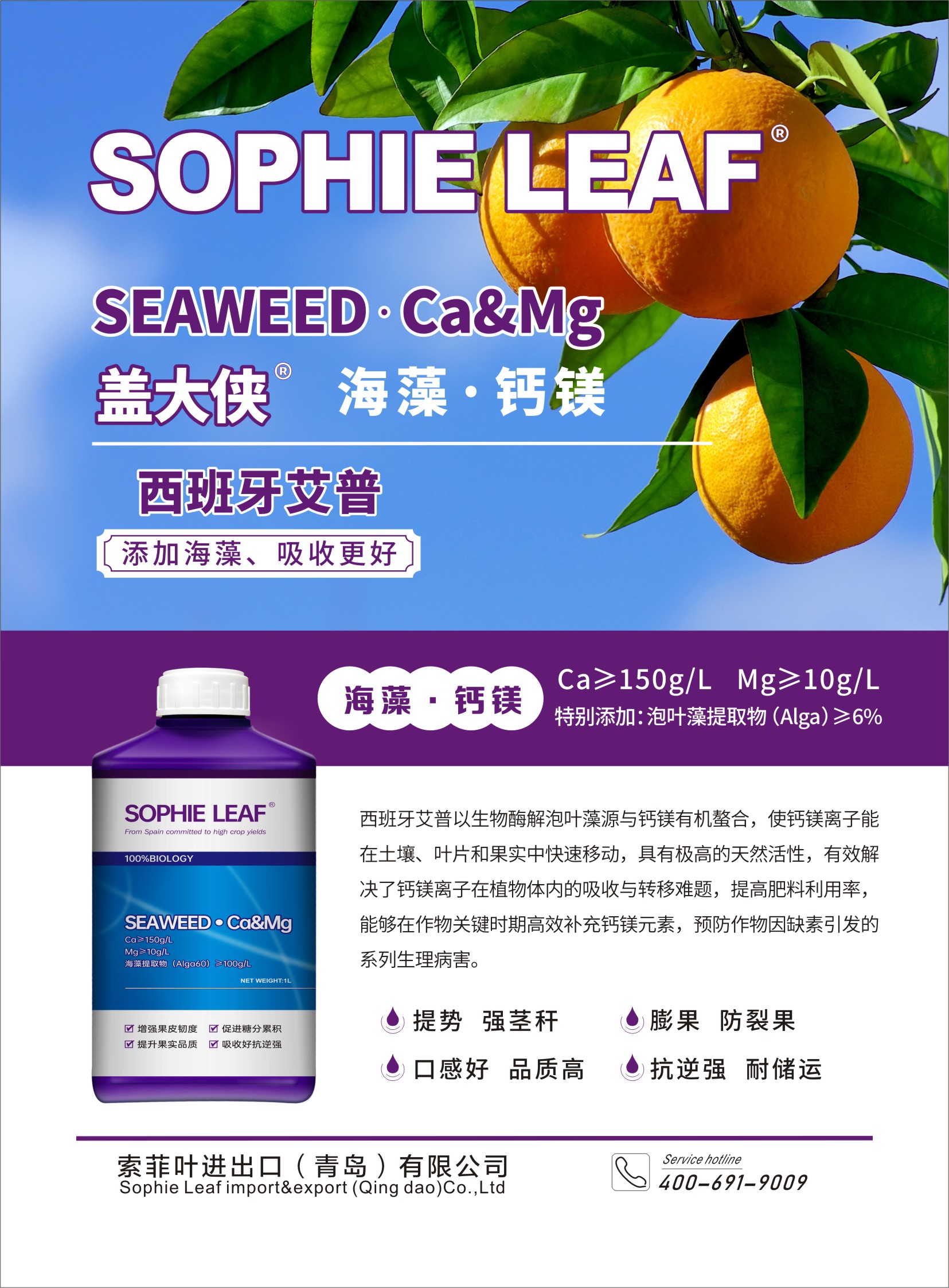 索菲叶产品展示